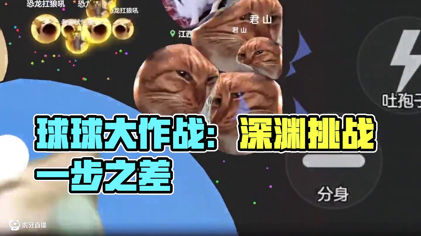 不是 这游戏到底谁在赢啊 有霸屏的吗？#球球大作战君山#球球大作战 #球球大作战闪击战