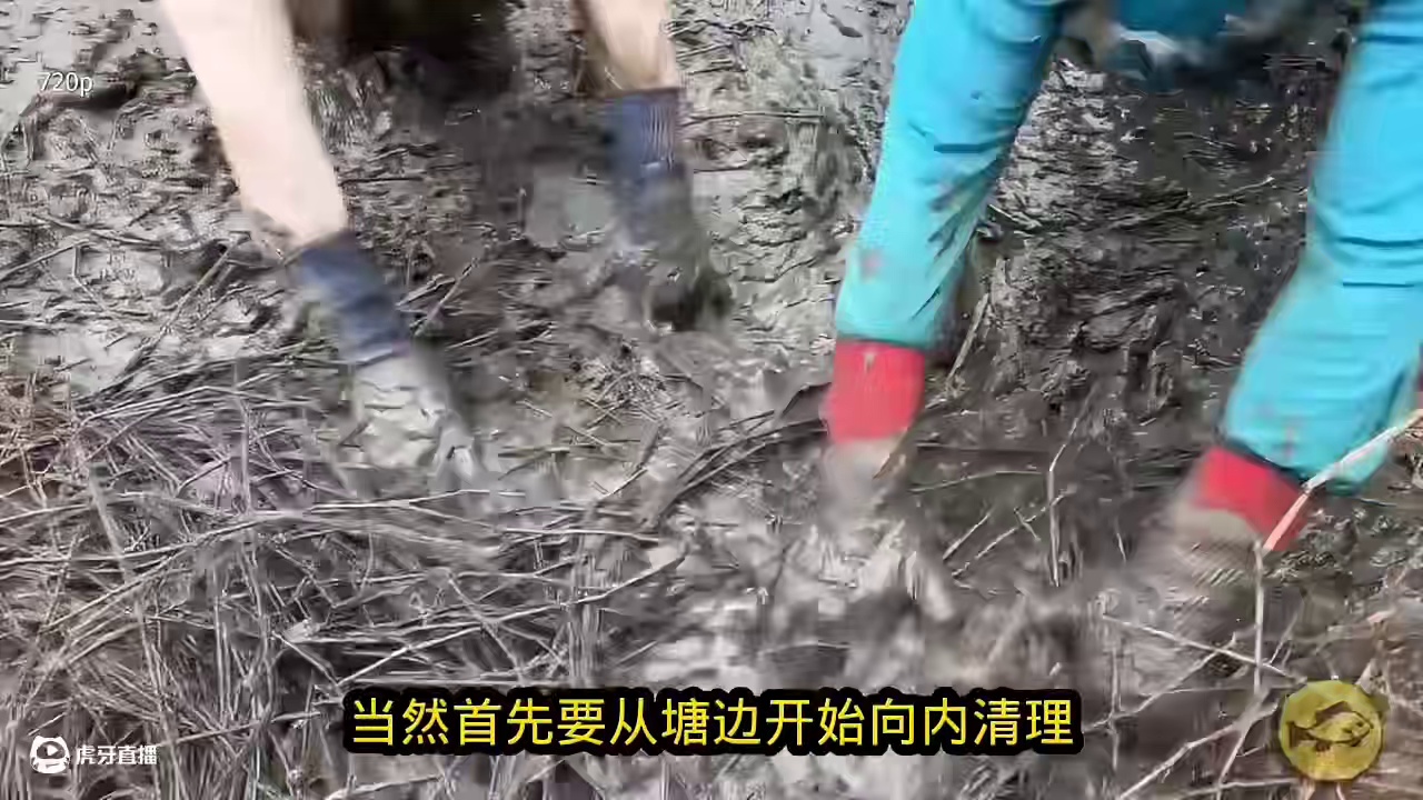 徒手抓鱼