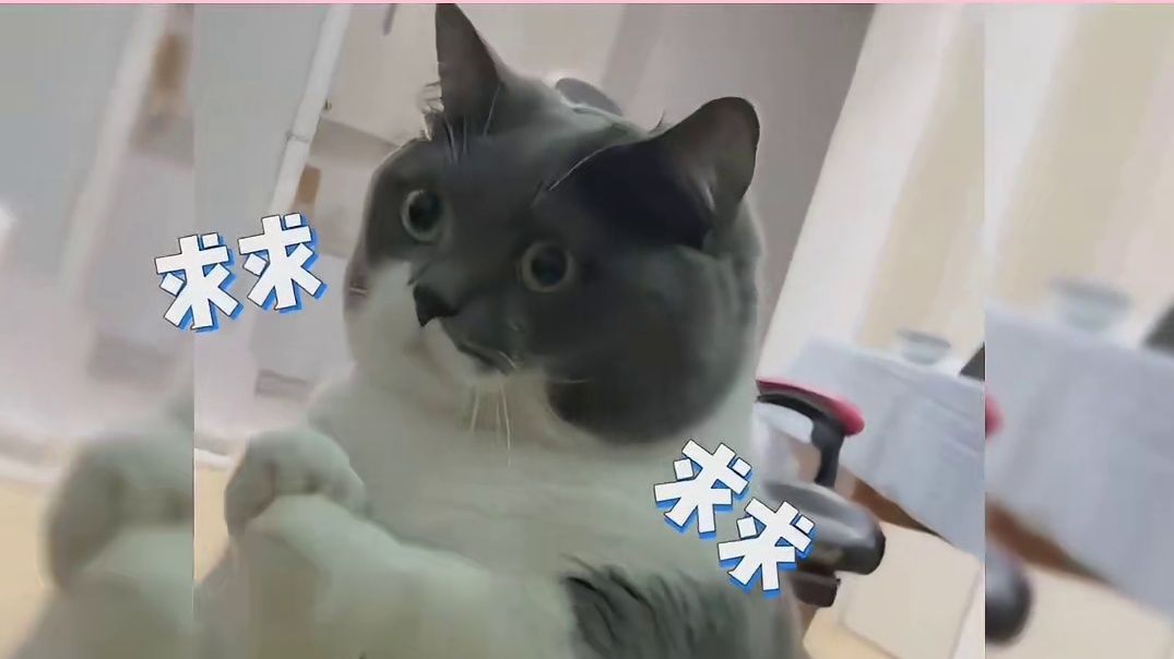 这么可爱的小煤气罐子谁要