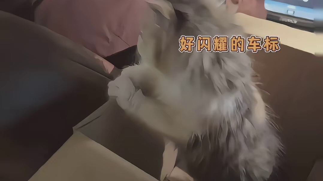 三花：好险，差一点就跟你过上苦日子了