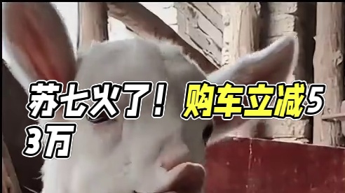 Su7车主：好啊 那我的早买早享受算什么#小米Su7还是火到了二手车圈 #懂车帝尖货星期天