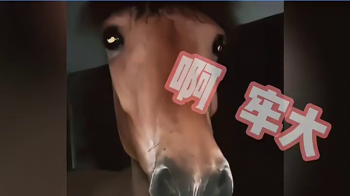 所以三角形具有稳定性