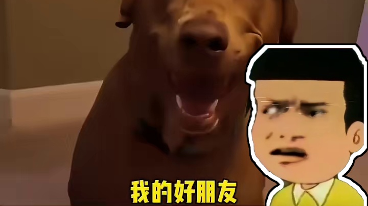 我勒个“偷天换日”啊