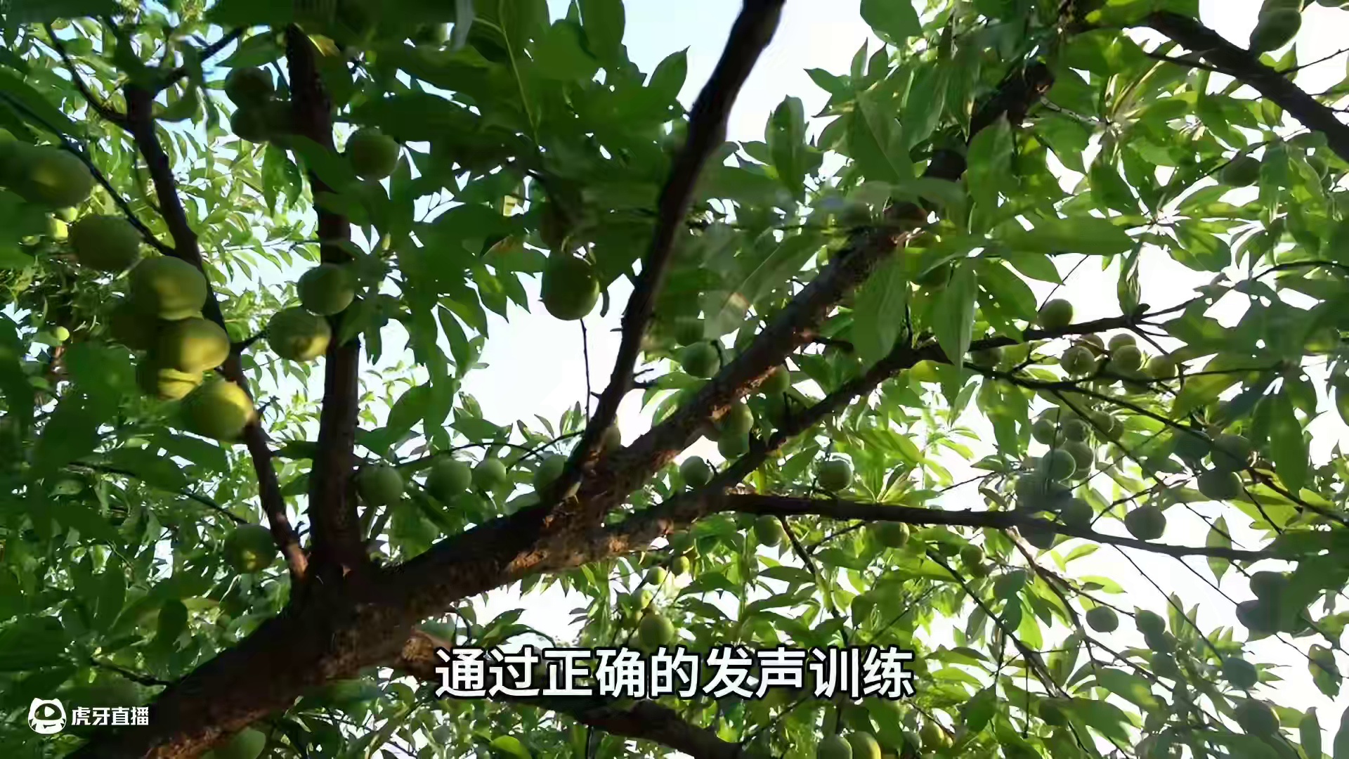 宋雨声音变现退费配音领域中声音构造的奥秘