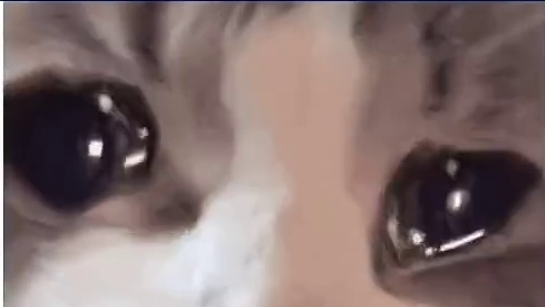 陆驿站你还好吗 #我在惊悚游戏里封神 #我在无限游戏里封神 #黑桃 #陆驿站 #猫耳FM