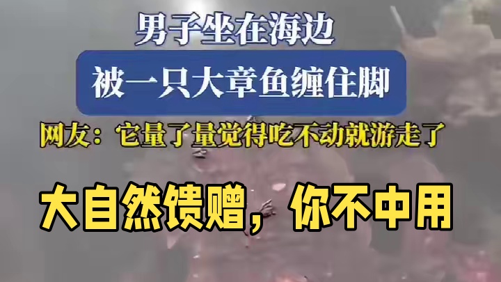 你不中用啊！大自然的馈赠送到你面前你都把握不住？