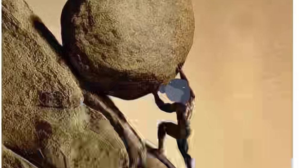 贱猫使用指南，六招教会你养贱猫 #猫 memes#动画制作 #这是一个悲伤的故事 #日常瞎画 #me