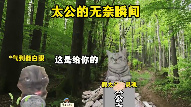 太公的无奈瞬间 #搞笑 #猫meme #清明节 #祭祖 #拜错坟