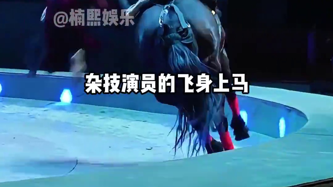 为何陈都灵骑马下半身成导演镜头“禁区”？看到这段视频，才懂什么叫术业有专攻#娱乐评论大赏 #内容启发