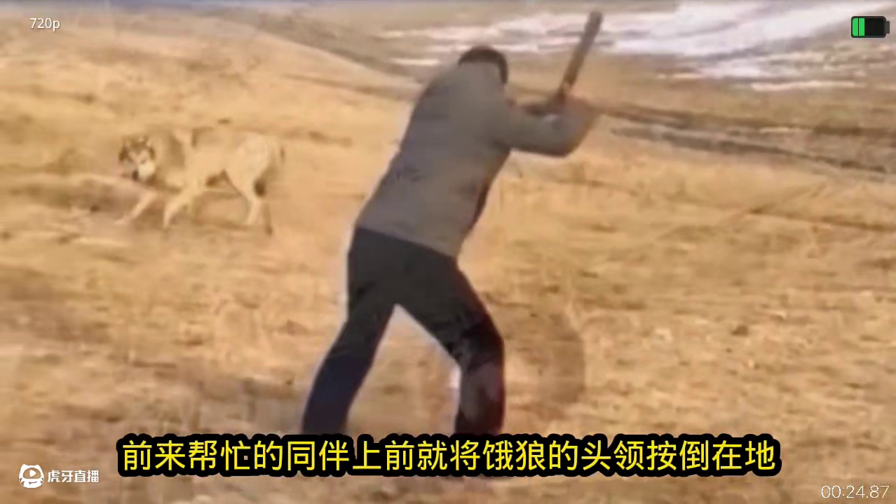 草原汉子勇斗饿狼