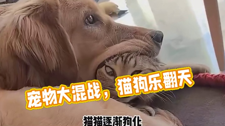 宝宝你喜欢什么颜色的麻袋呀，让姐姐把你偷走好不好