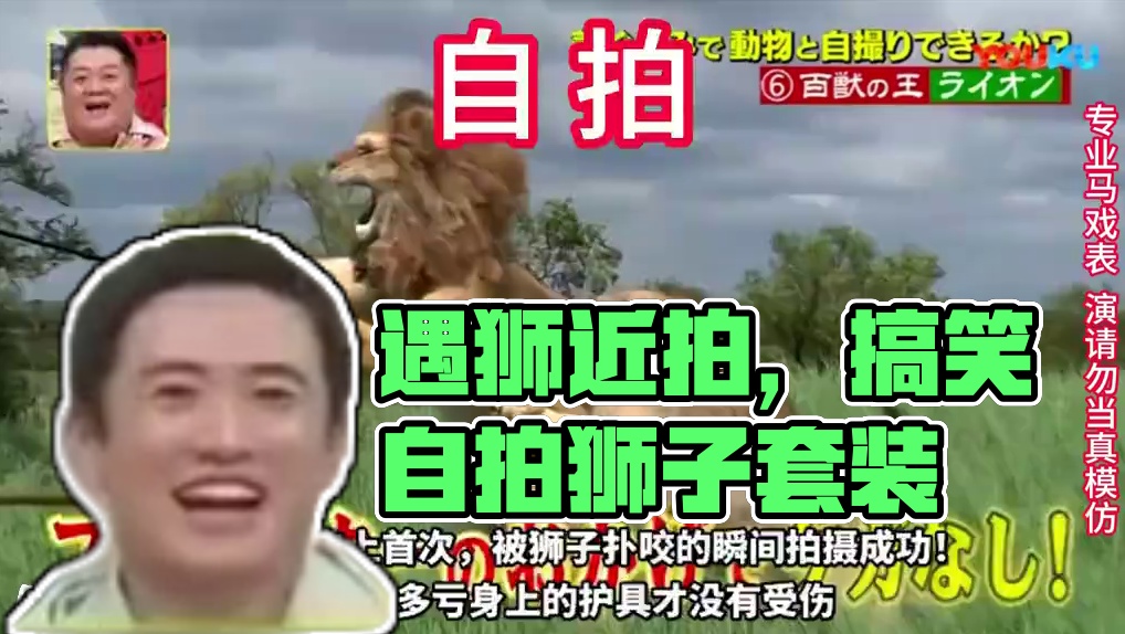 在野外遇到狮子该怎么办呢。 #这谁顶的住啊 #奇葩综艺 #综艺搞怪