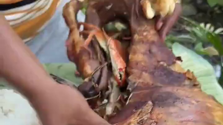 我发布了一个新视频，快来围观吧！