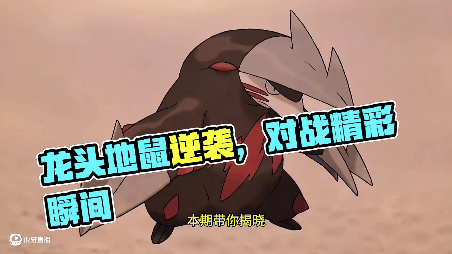 龙头地鼠的逆袭之战#pokemmo #雨天队 #宝可梦手游 #宝可梦对战