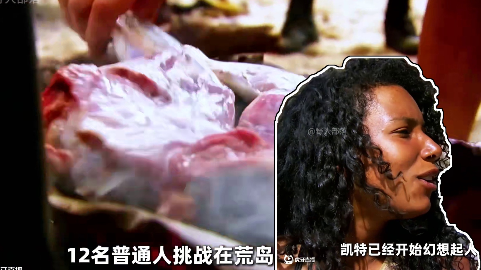 荒岛生存35天获得10万英镑奖励，如果是你你会和队友平分吗 #荒野求生 #野外生存 #户外