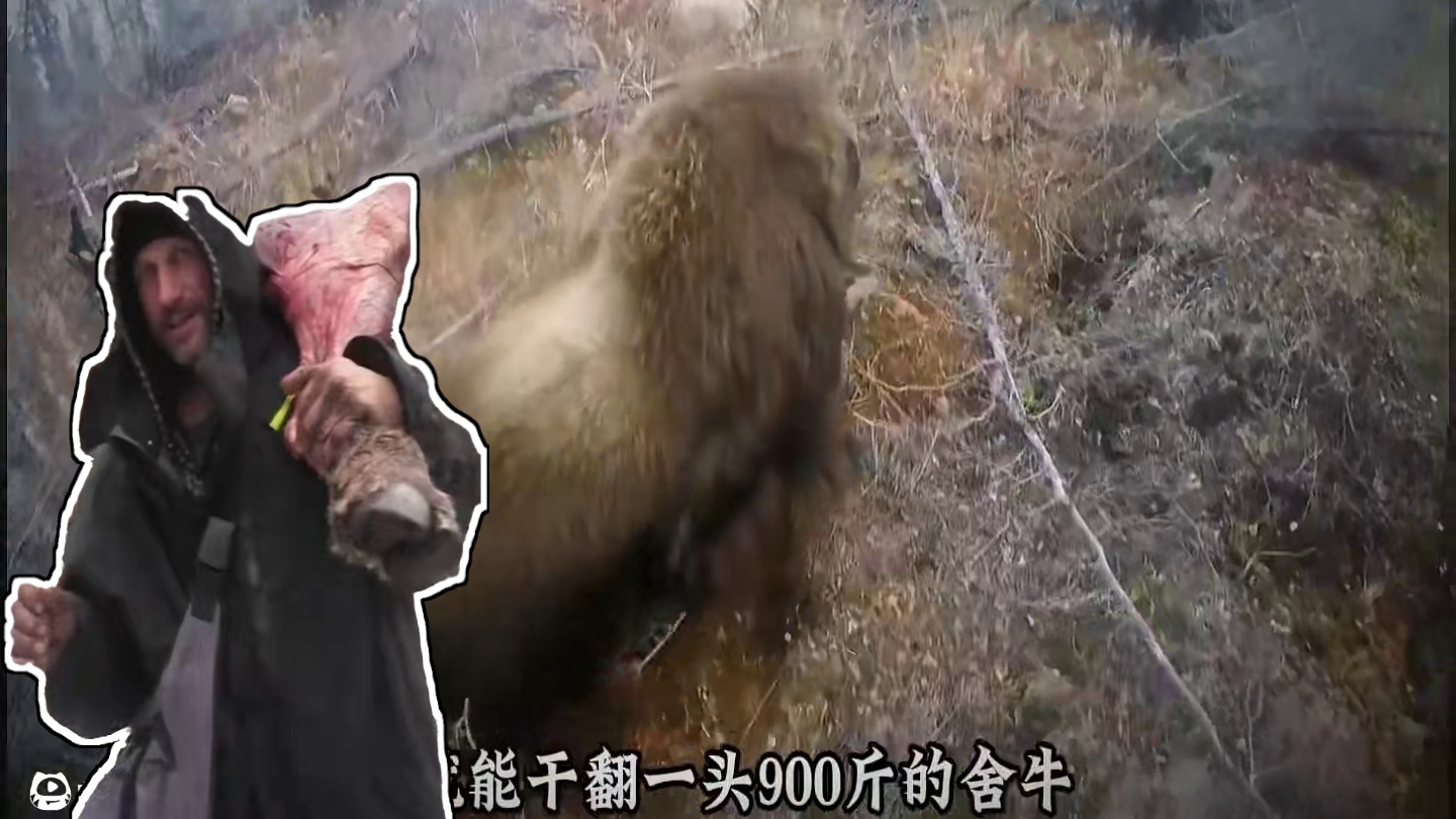 荒野独居 罗兰作为荒野独居里的真神，他究竟有多亮眼，仅一把打野刀，就能干翻一头九百斤的麝牛，拉弓射箭