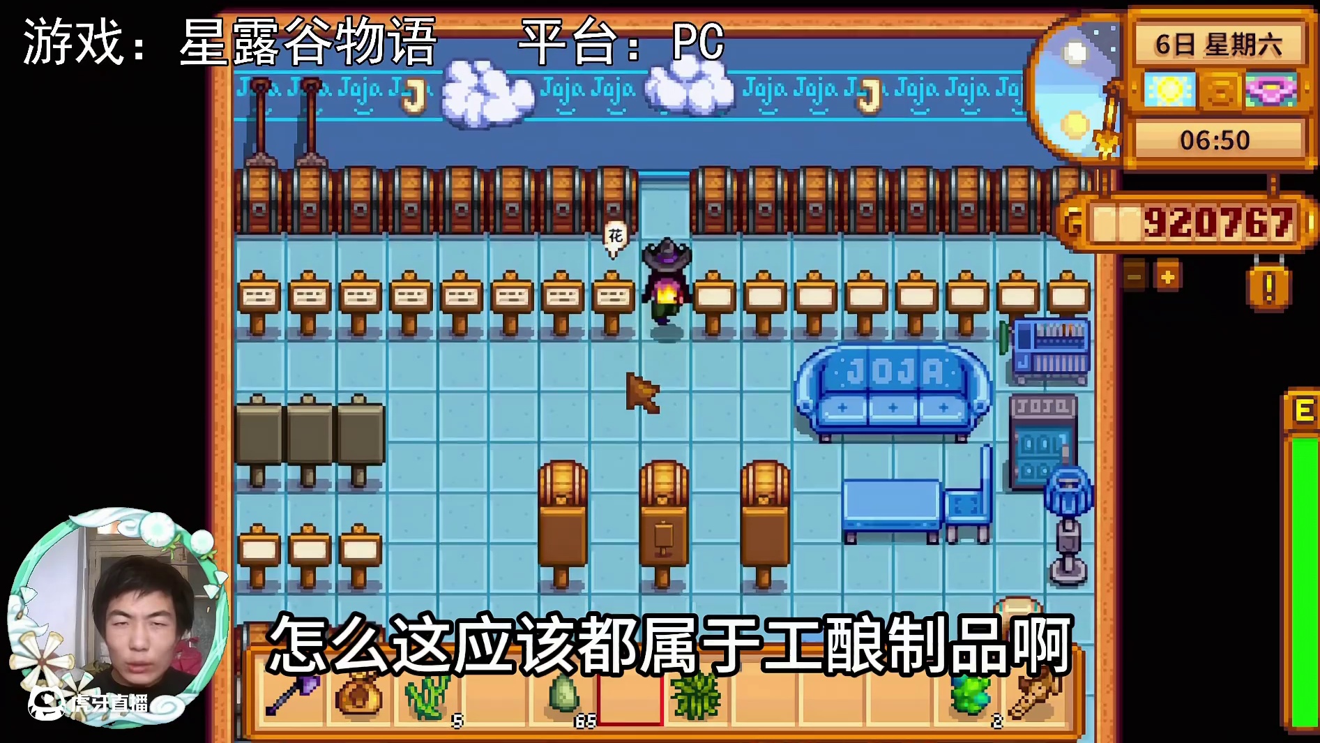 【星露谷物语】采集品，还差六个！