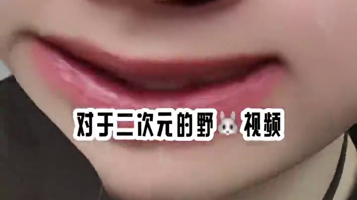 别说ch瓷厨难以忍受就是整个二次元圈的爱国人看了都忍无可忍#ch #瓷 #国拟 #加查 #凹凸王小六