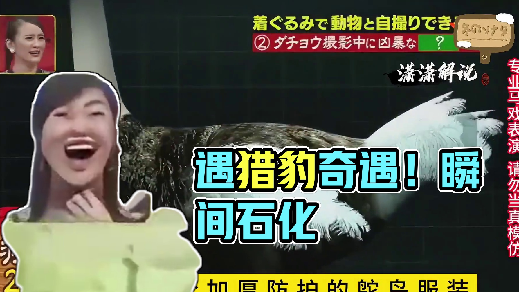 如果野外遇到猎豹该怎么办呢。 #这谁顶的住啊 #奇葩综艺 #综艺搞怪