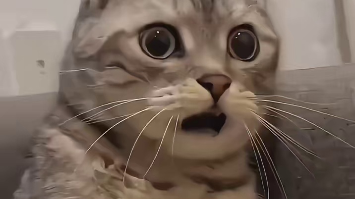 手慢无，骗你的，手快也无