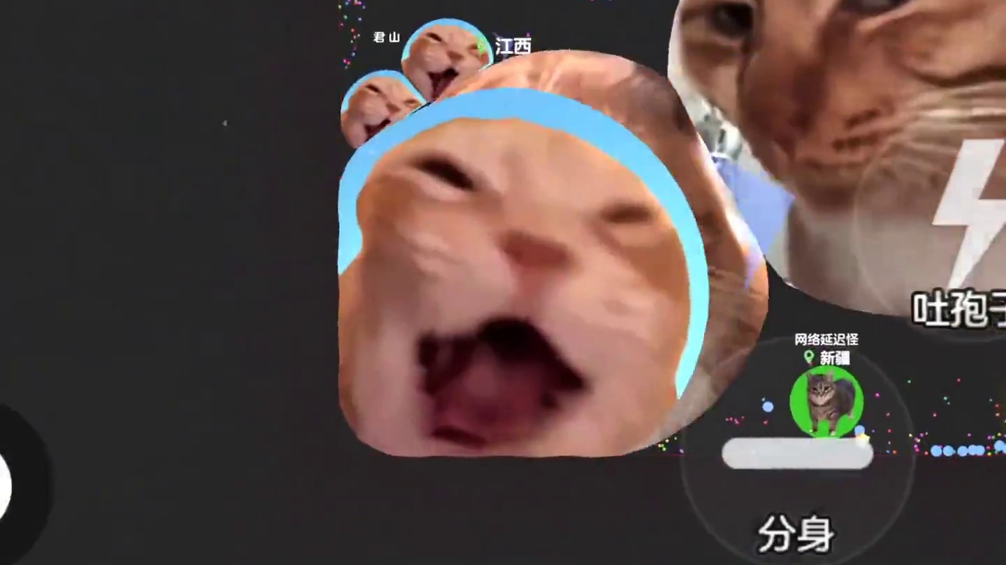 这游戏还有没霸屏过的吗？#球球大作战君山#球球大作战 #球球大作战闪击战