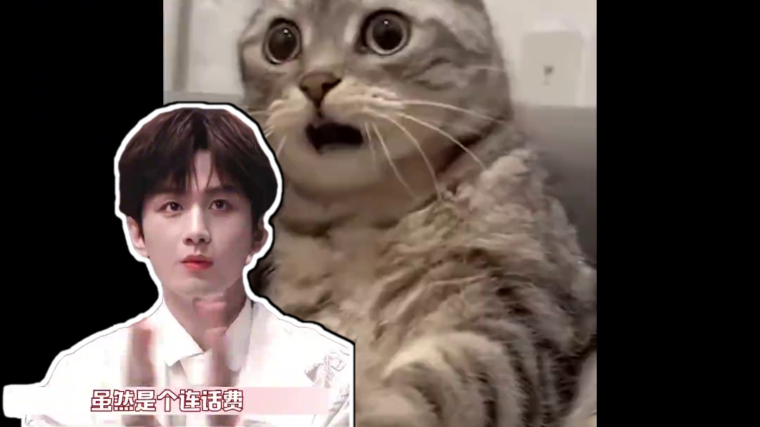 #和成毅一起准备迎接阳光假日  我就这一个成毅！别给我玩坏喽！#成毅 #傅诗淇 #赴山海