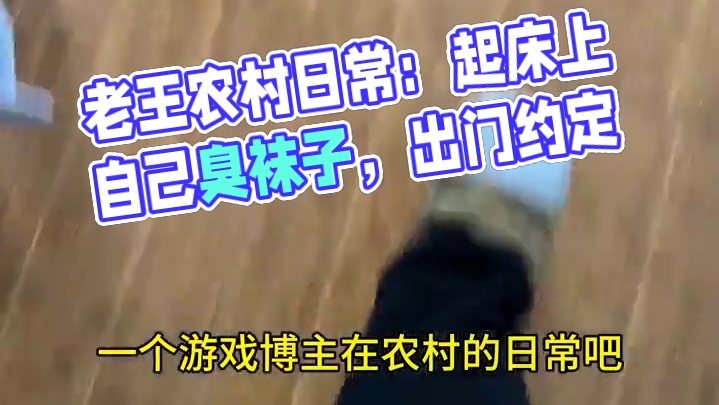 老王的日常：单挂是对你的信任