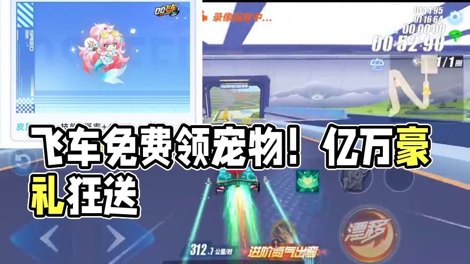 秘境宠物免费领！