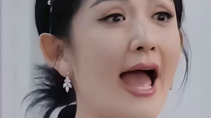 谢娜说自己最忙的时候三个月没沾过床