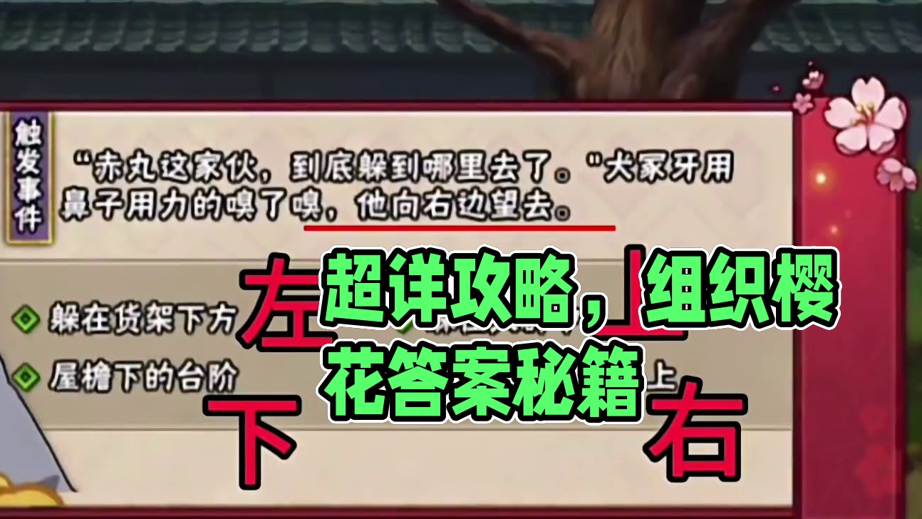 本周五超详细攻略教程【组织樱花祭所有答案】秽土疾风博人 返场,女团特效免费领,超凡模式,忍法帖正常等