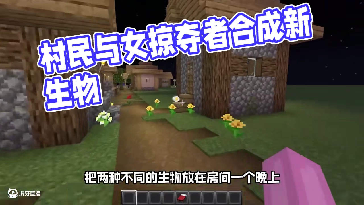 村民和女掠夺者会合成出什么生物呢 #我的世界 #mc不灭