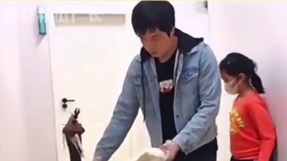 丹顶鹤：天无绝人之路#万万没想到 #动物趣事  #丹顶鹤 #大爱仙尊