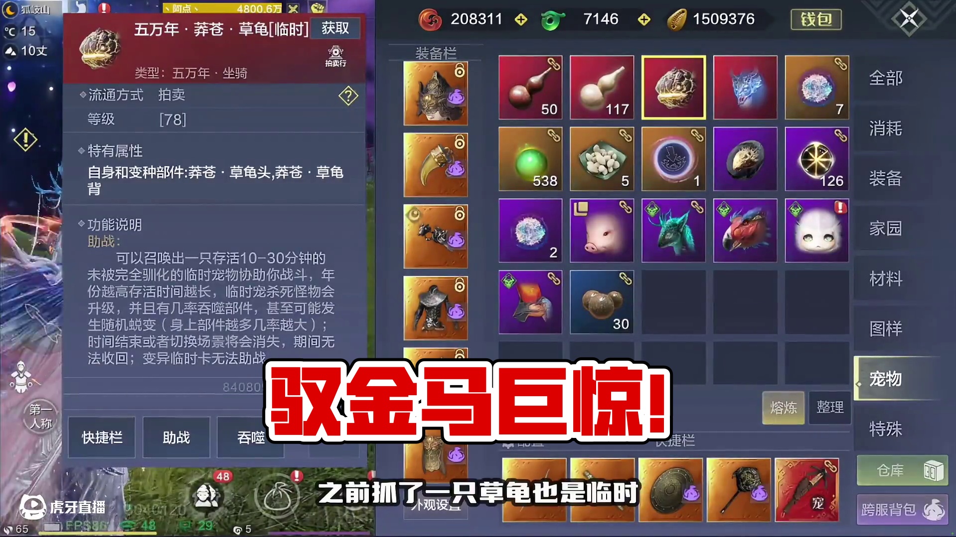 捕捉了两只五万年，第三只四万年马出蛋了！但是又好像没出？ #妄想山海 #山海经