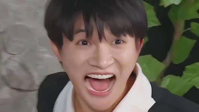 白鹿：著名马后炮选手，被淘汰了才推算出卧底