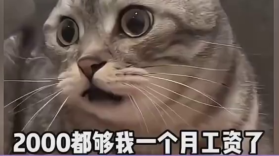 我的老天爷啊 这谁还敢生啊