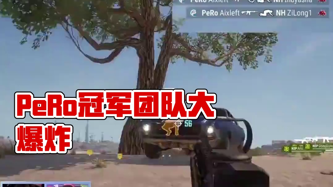 PeRo春季赛周冠！ #pubg #pero #大主播冬瓜强