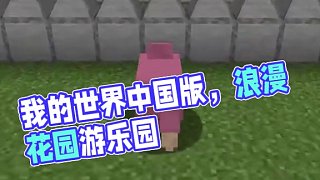 #我的世界 #我的世界中國(guó)版 #我的世界任你暢游