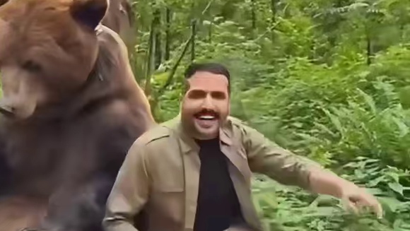 熊：人，我只是担心你