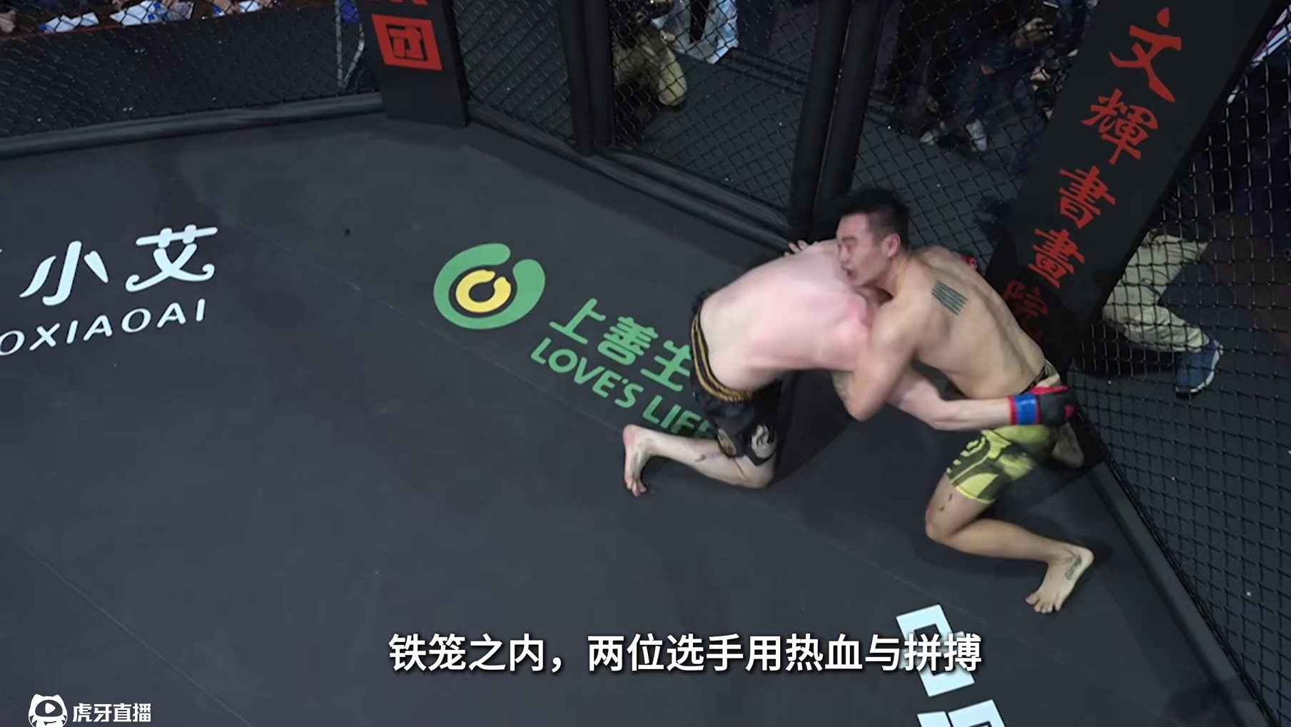 舒克鲁率先出击，周年乐能否顶住压力？