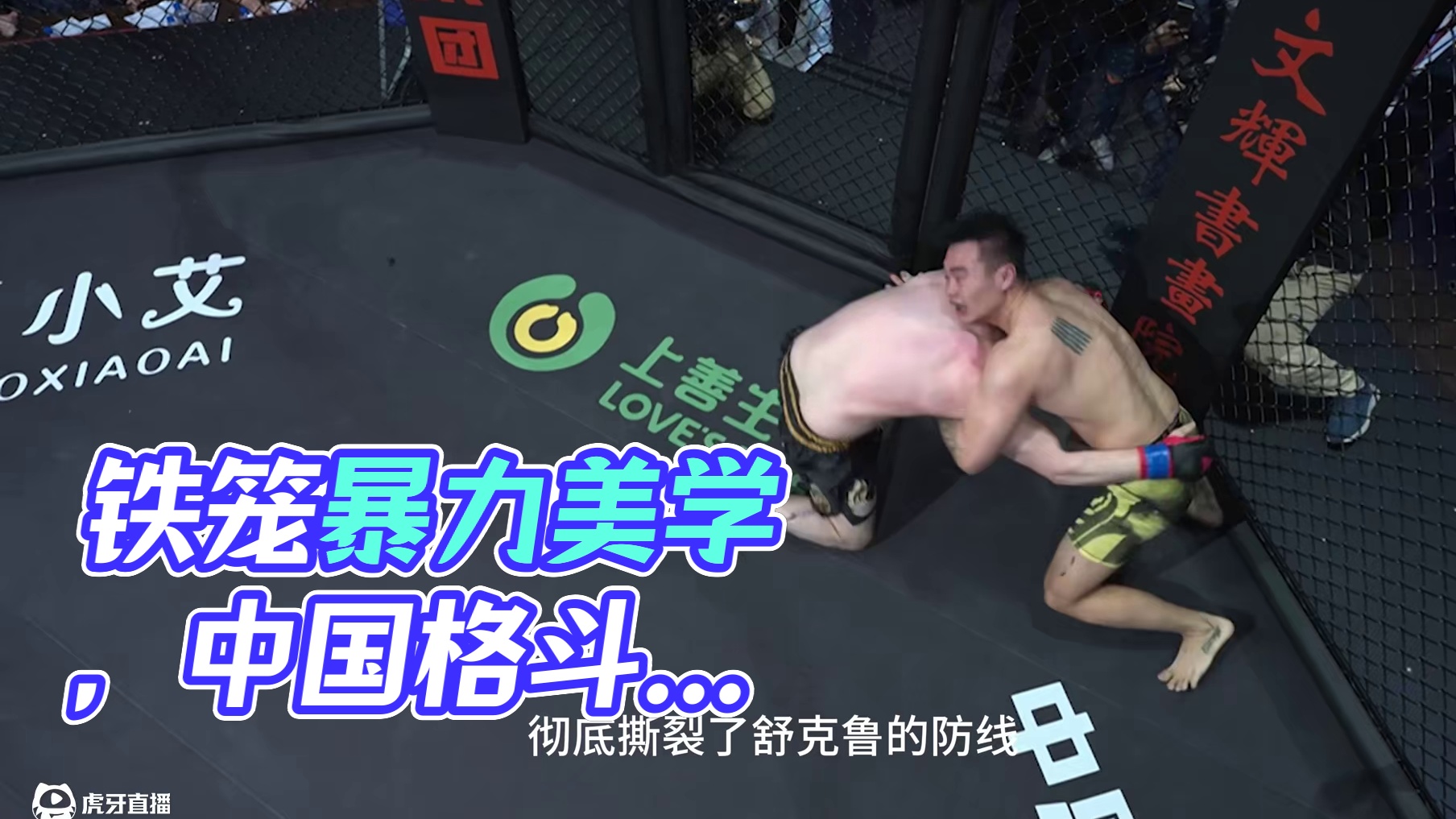 铁笼边的较量，谁能占据优势？