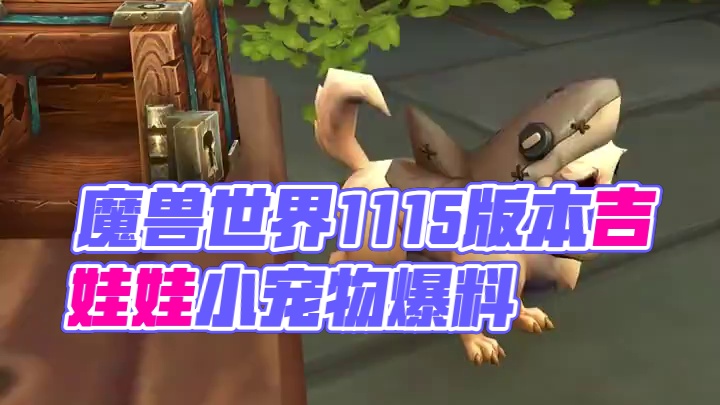魔兽11.1.5能DIY的吉娃娃小宠物来袭，萌值爆表 #魔兽世界 #魔兽世界正式服 #魔兽小宠物 #