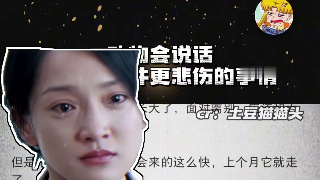 我们该如何告别呢，就像我们刚见面时那样#鹦鹉 #小鸟 #告别