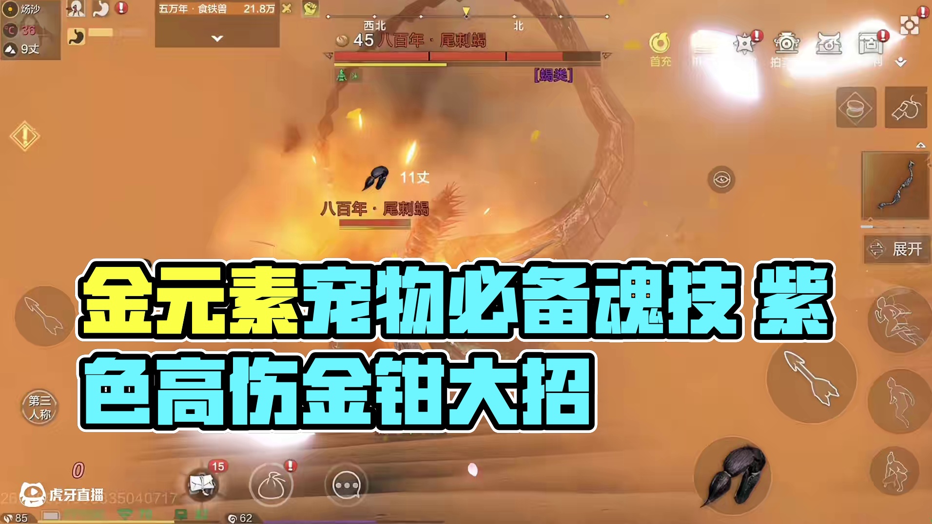 金元素宠物必备魂技 寄居鳌蟹的金属性大招【金钳到】居然只是一个紫色小技能 伤害高释放快后摇短#妄想山