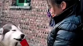 二哈家还出了个秀才啊