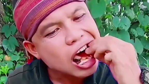 泰式甜辣酱️酸辣木瓜丝脆皮烤乳猪 #户外美食 #美食 #泰国美食 #内容启发搜索