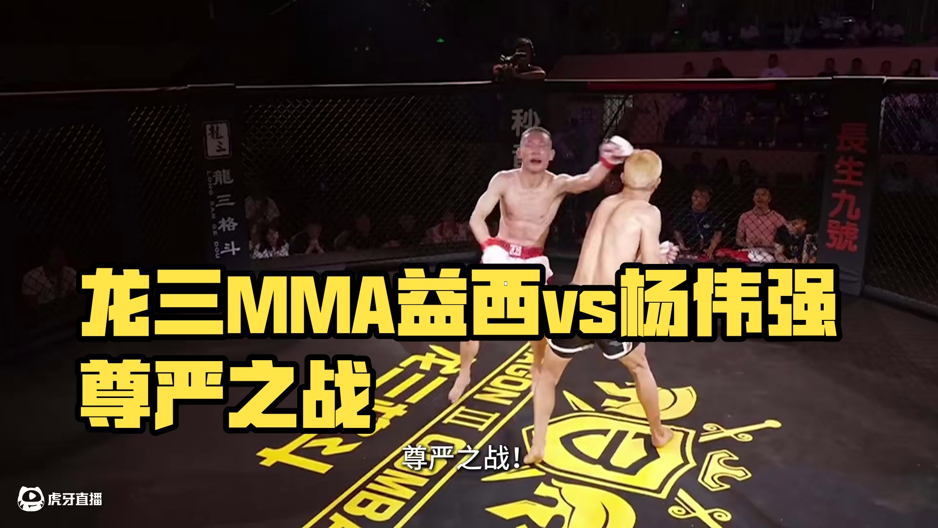 #龙三MMA 龙三格斗环球拳王巡回赛 益西vs杨伟强