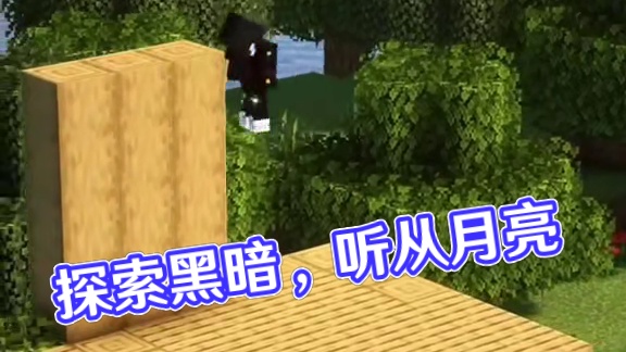 #我的世界 #我的世界中国版 #我的世界任你畅游