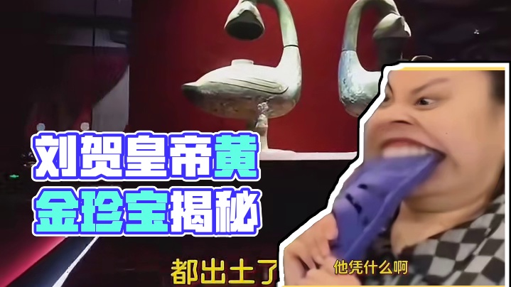 刘贺：消费降级，根本不存在