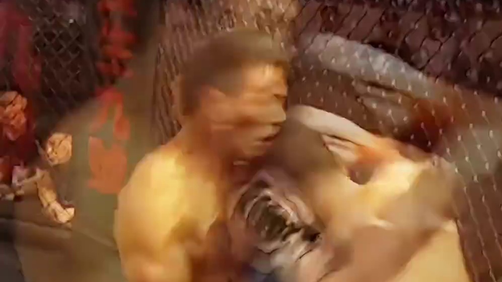 龙三格斗环球拳王巡回赛 邓晋军VS朱勃文