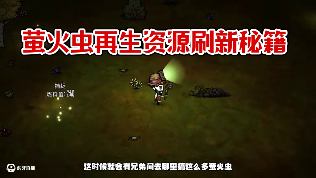 饥荒联机版：萤火虫是可以再生资源吗？ #饥荒